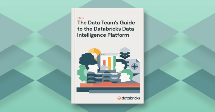 the data team's guide ty page