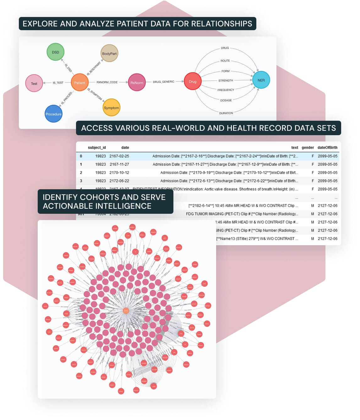 cohort-building-with-knowledge-graphs-inbody-graphics