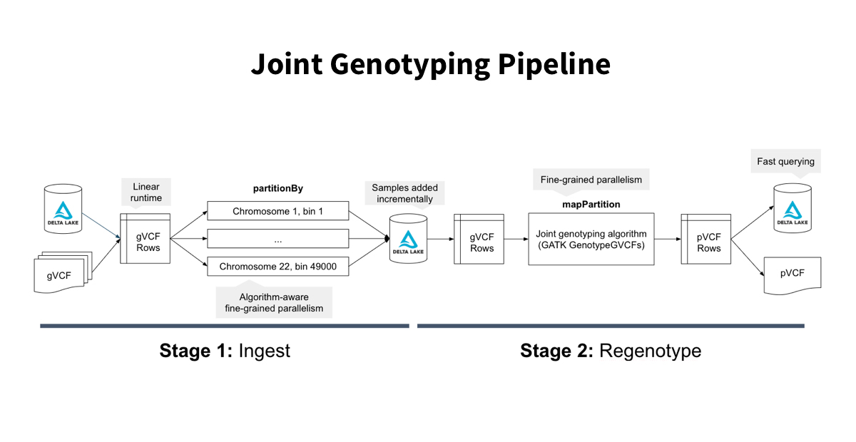 Genotype_blog_og