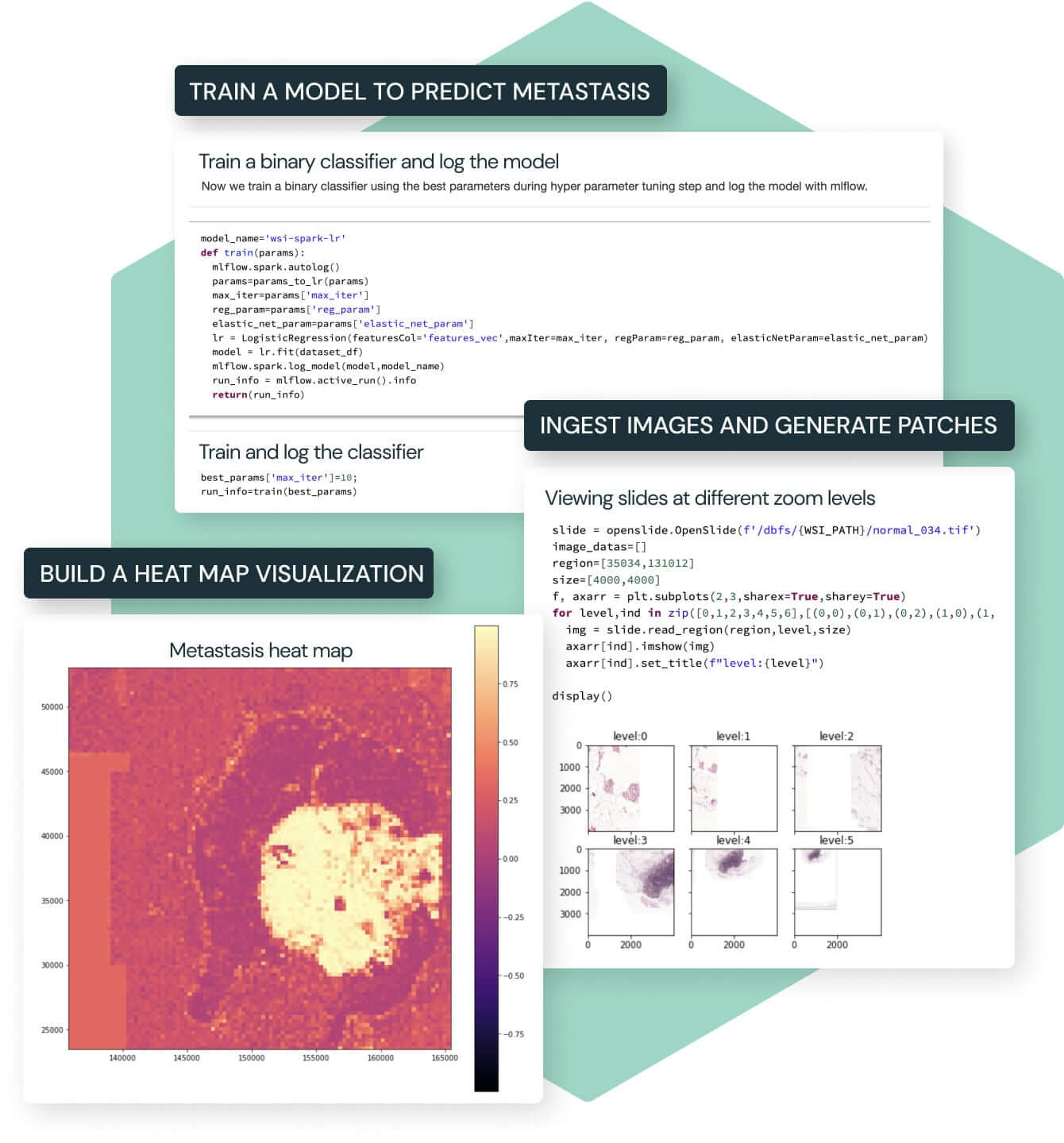 UI-Hex-digital-pathology