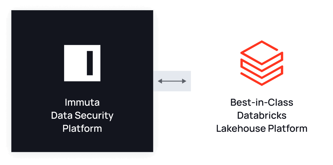 Why Immuta for Databricks