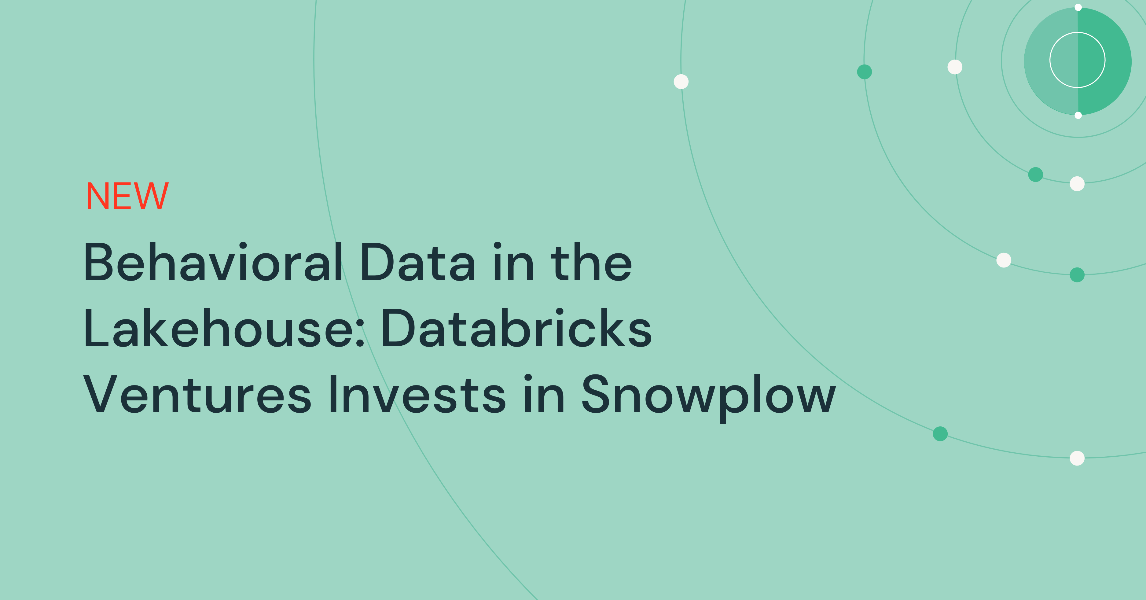 湖仓中的行为数据：Databricks Ventures投资Snowplow