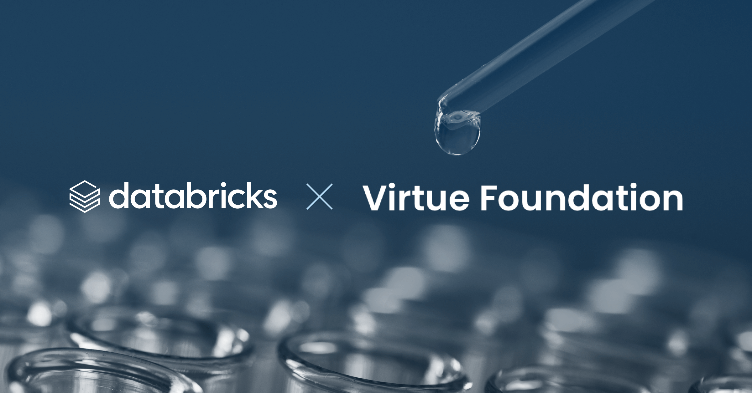 Elevating Global Health with Databricks and The Virtue Foundation