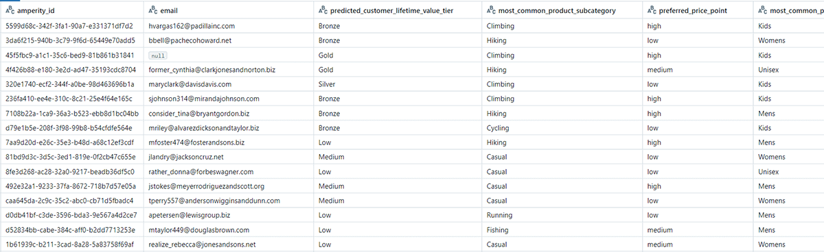 Figure 2. Amperity CDP data shared with the Databricks Platform via the Amperity Bridge