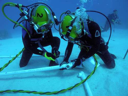 Photo of two scuba divers