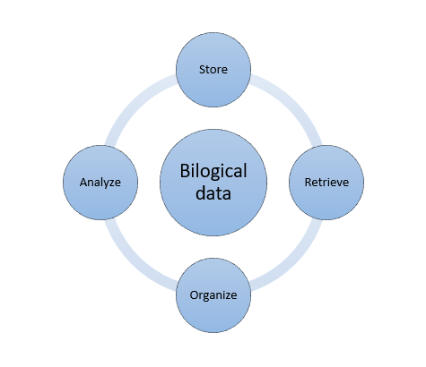 Bioinformatics Chart