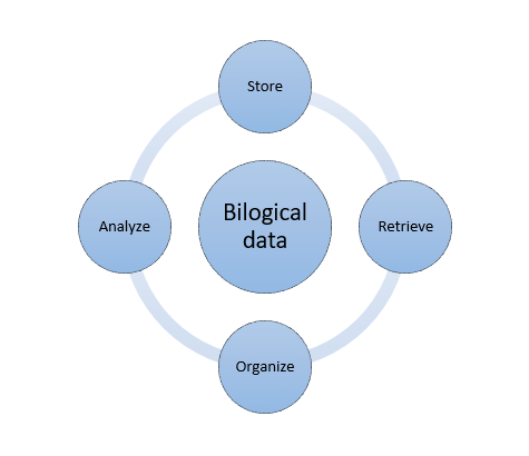 Modélisation bio-informatique