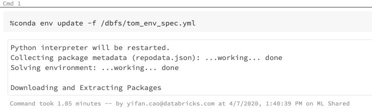 Using the Databricks magic command %conda env update to import the environment specifications from a designated DBFS location