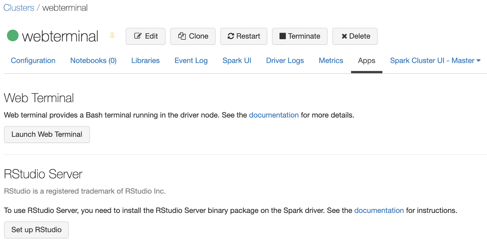 There are two ways to open a web terminal on a cluster. You can go to the Apps tab under a cluster’s details page and click on the web terminal button.<br />
