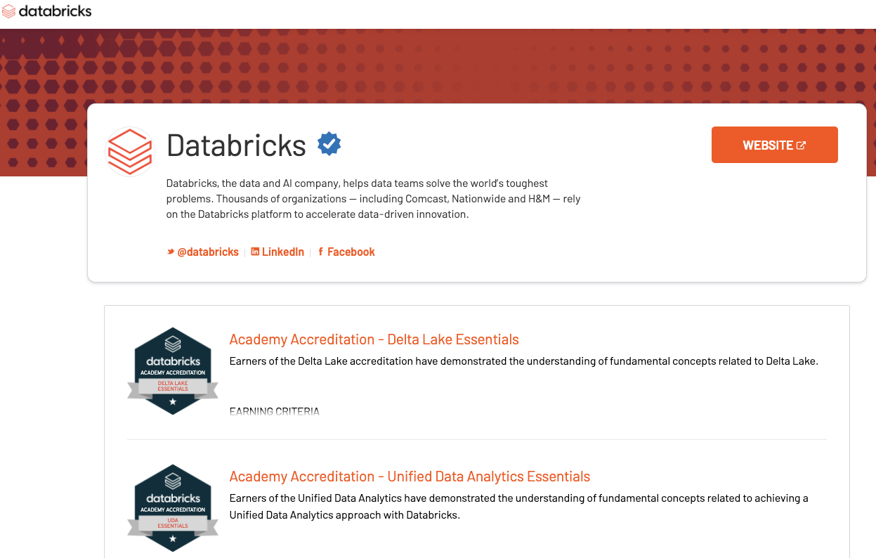 Databricks-Certified-Professional-Data-Engineer Dumps