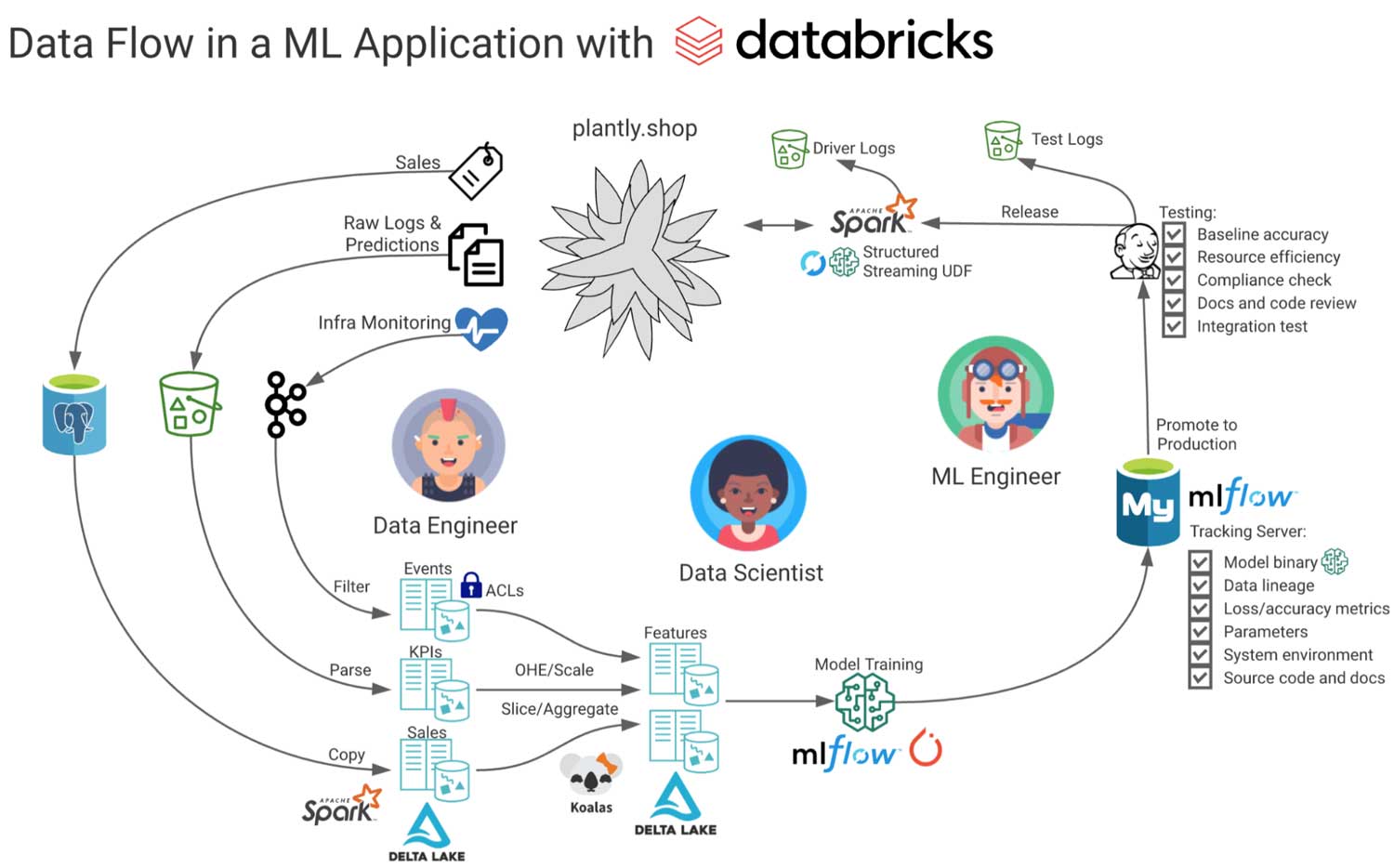 Databricks-Certified-Professional-Data-Engineer Buch