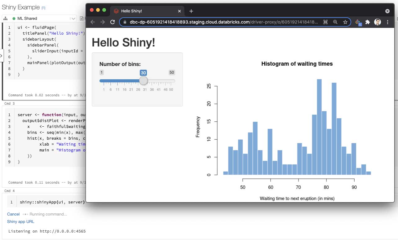 Shiny and Environments for R Notebooks - The Databricks Blog