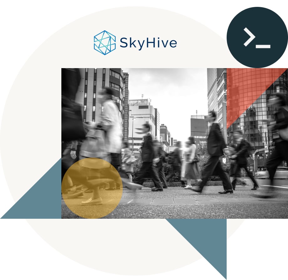 SkyHive Prepares A Global Workforce For The Future - Databricks